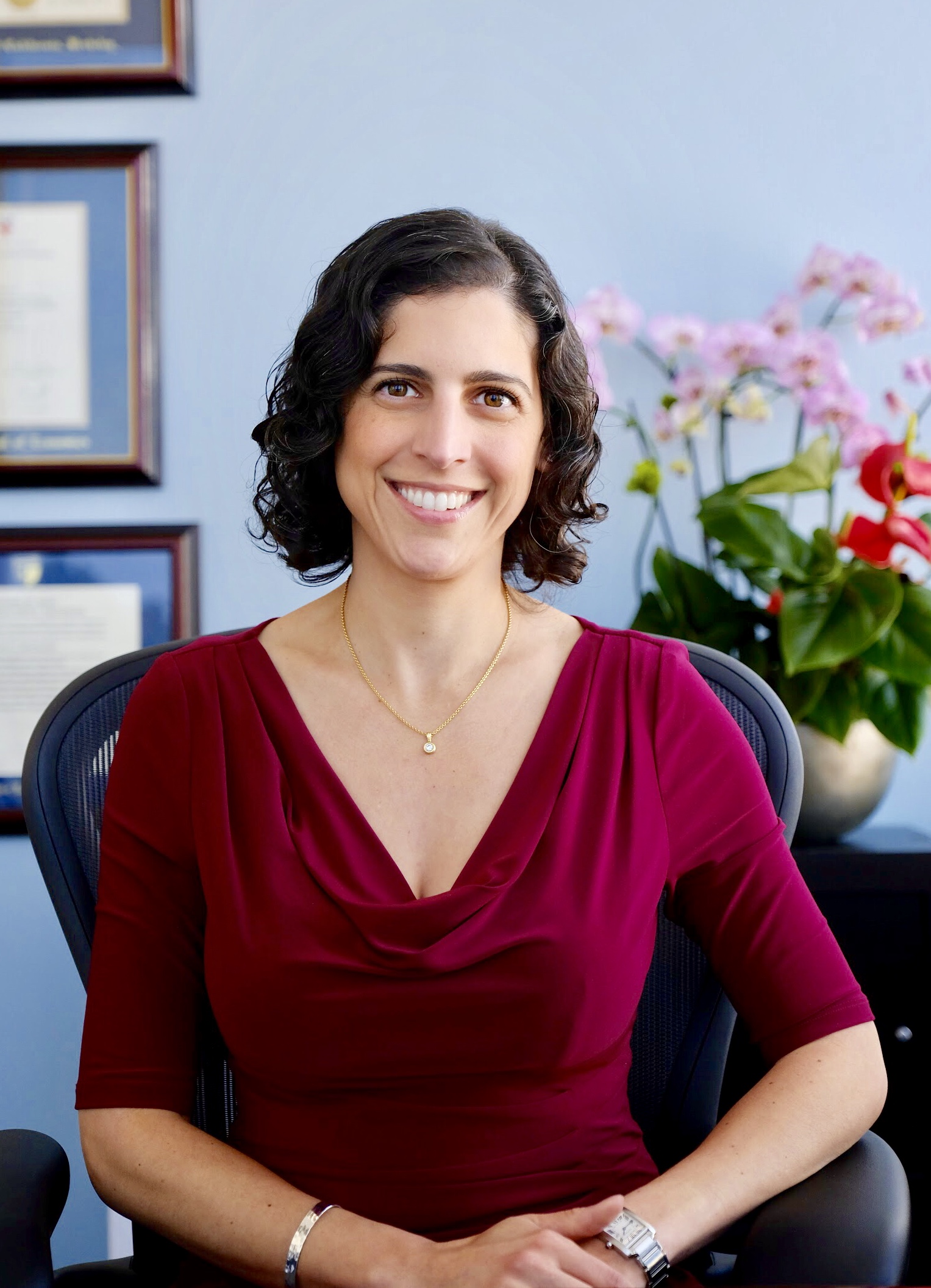 Ramit Mizrahi Employment Law Mediator